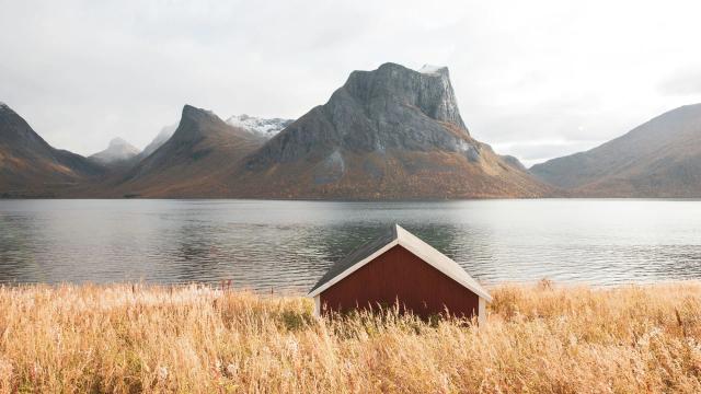 The $Science Behind Wellness$: Unlocking Balance Through $Mindfulness, Sound, and Nature$